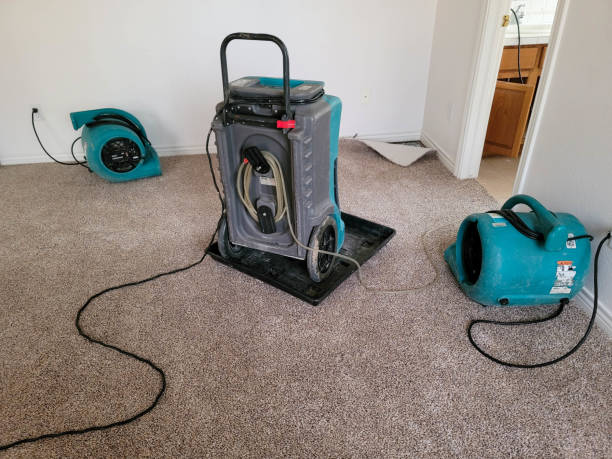 Best Emergency water damage restoration  in Maypearl, TX