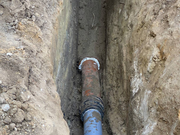 Best Professional water damage repair  in Maypearl, TX