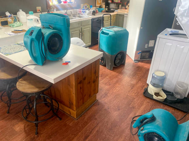 Best Water damage contractors near me  in Maypearl, TX