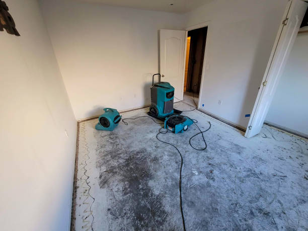 Best Water damage cleanup near me  in Maypearl, TX