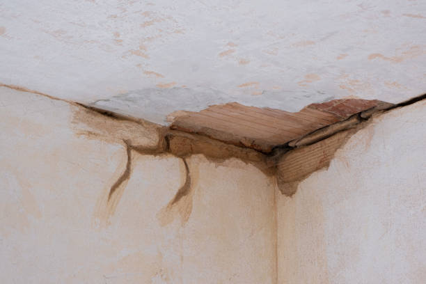Best Water damage contractors near me  in Maypearl, TX