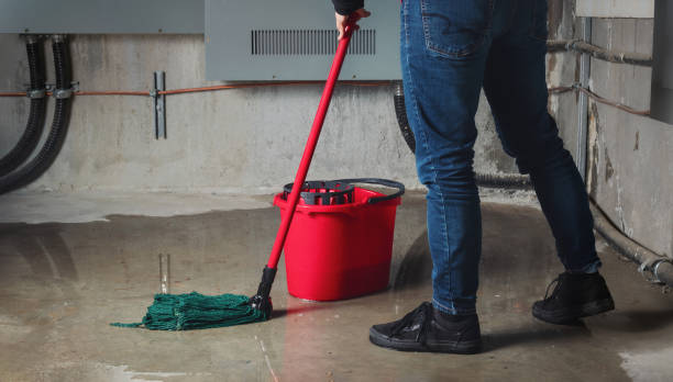  Maypearl, TX Water damage restoration Pros