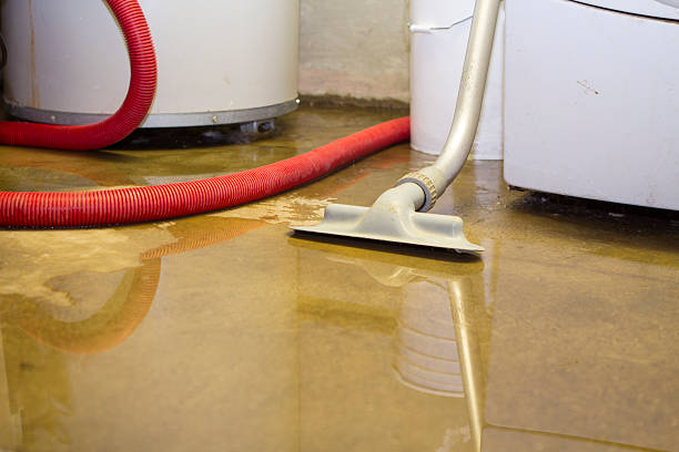Best Sewage cleanup and water damage restoration  in Maypearl, TX
