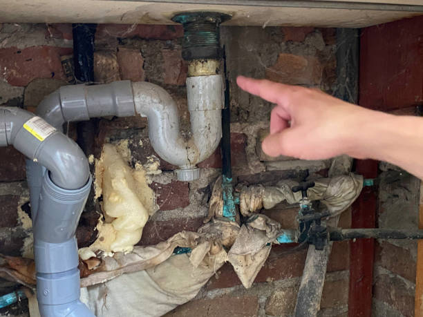 Best Professional water damage repair  in Maypearl, TX