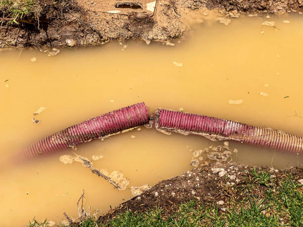 Best 24-hour water damage restoration  in Maypearl, TX